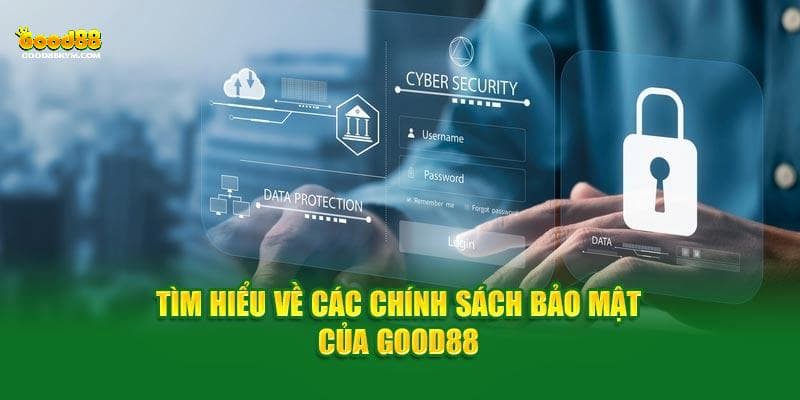 Quyền lợi của khách hàng