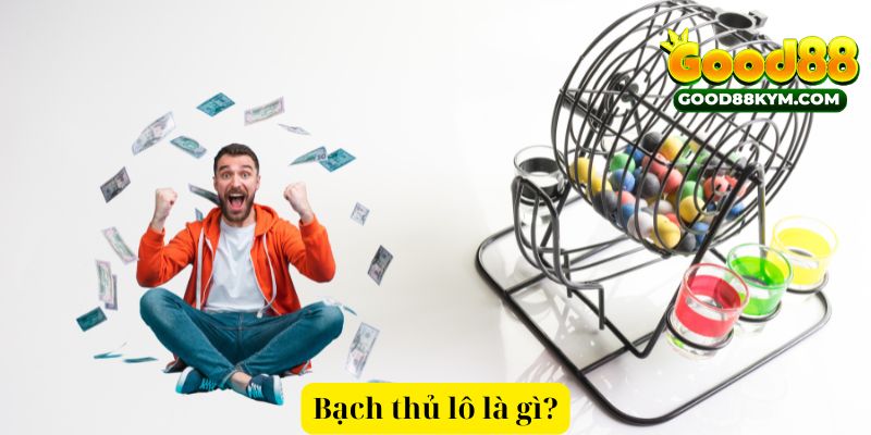 Bạch thủ lô là gì?